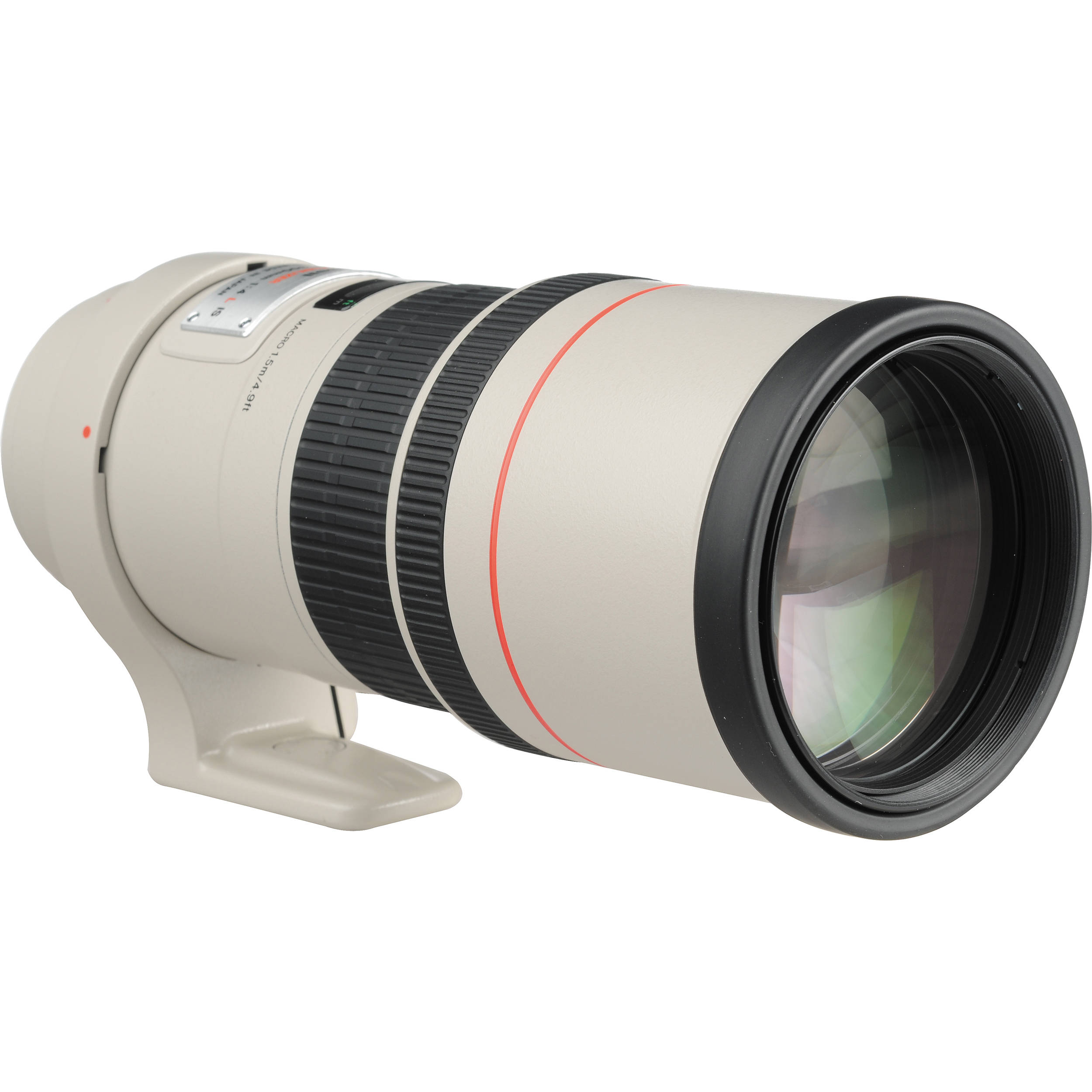 1552635595Canon EF 300mm f4L  