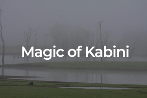 Magic of Kabini